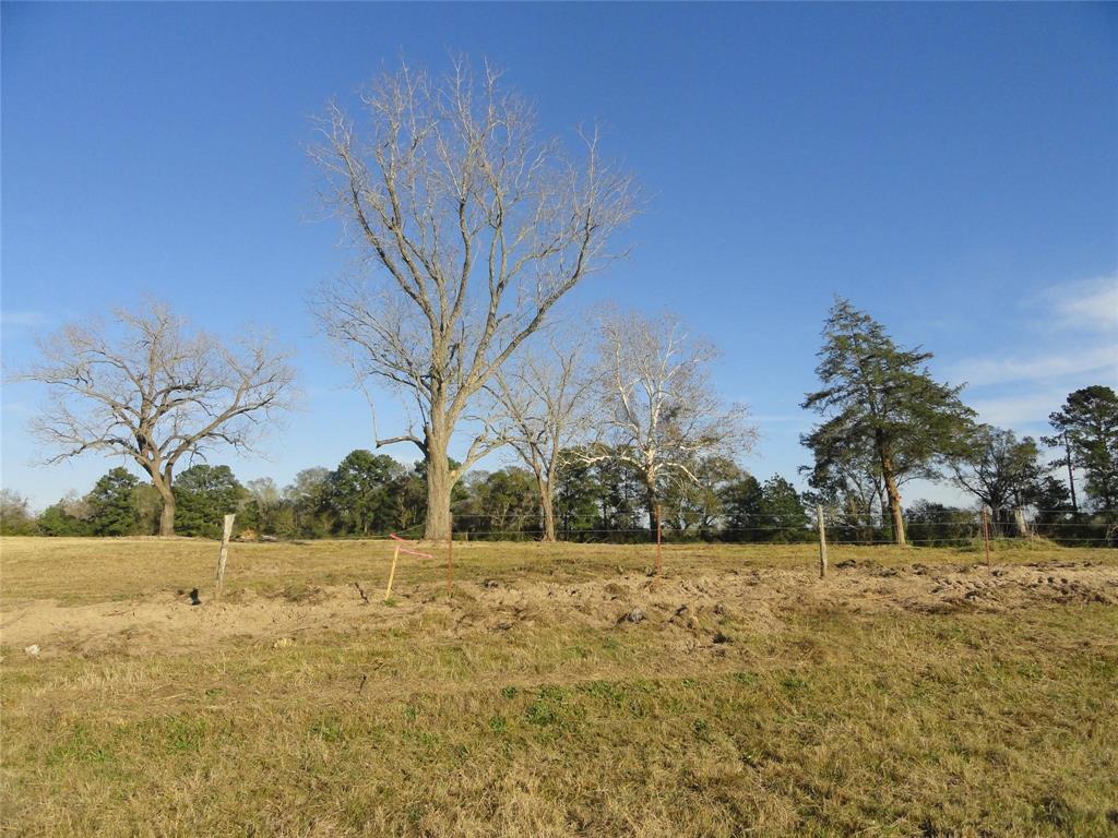 15686 Fm 2620 Road, Bedias, Texas image 26