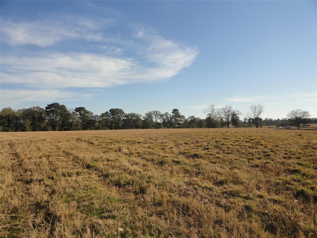 15686 Fm 2620 Road, Bedias, Texas image 16