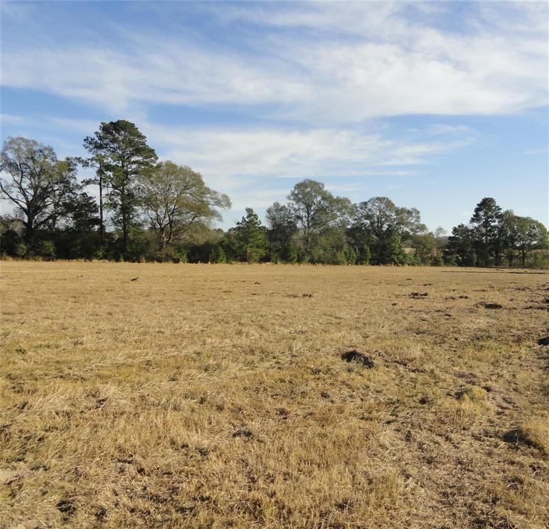 15686 Fm 2620 Road, Bedias, Texas image 13