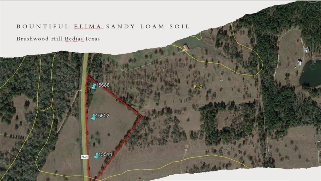 15686 Fm 2620 Road, Bedias, Texas image 28