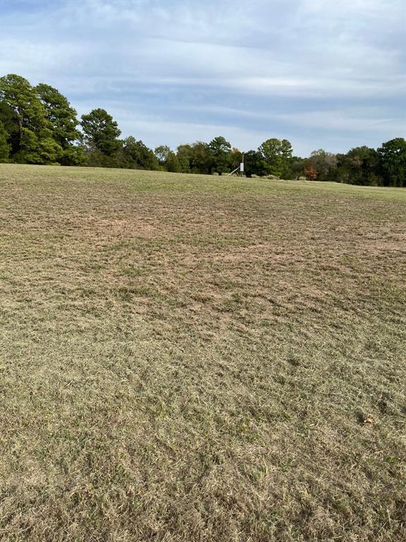 15686 Fm 2620 Road, Bedias, Texas image 6