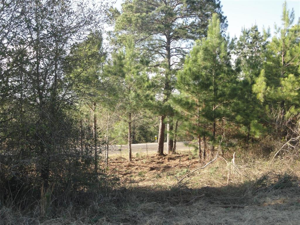 15686 Fm 2620 Road, Bedias, Texas image 22