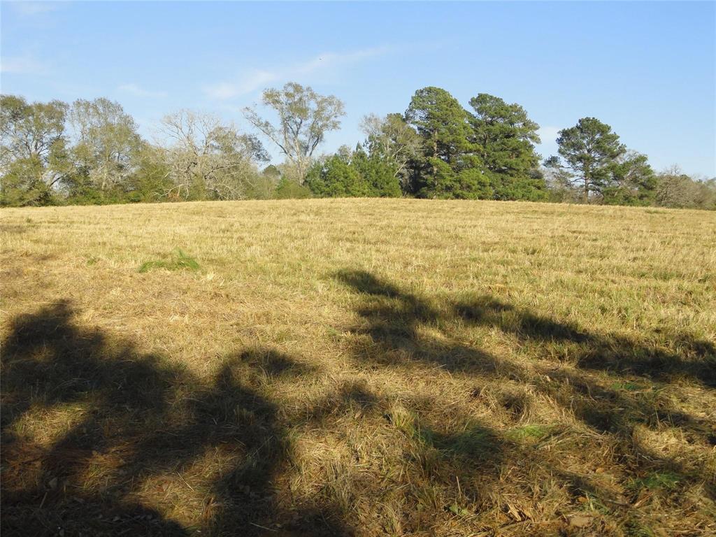 15686 Fm 2620 Road, Bedias, Texas image 14