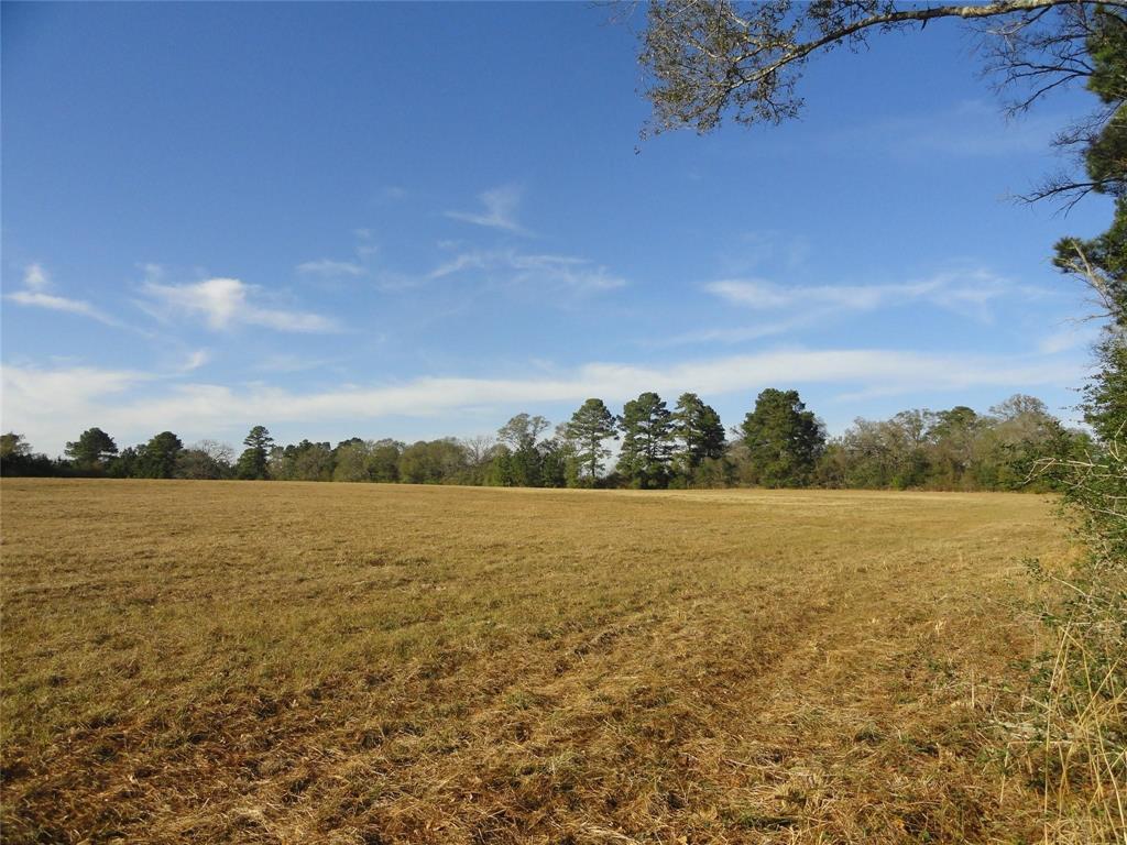 15686 Fm 2620 Road, Bedias, Texas image 17