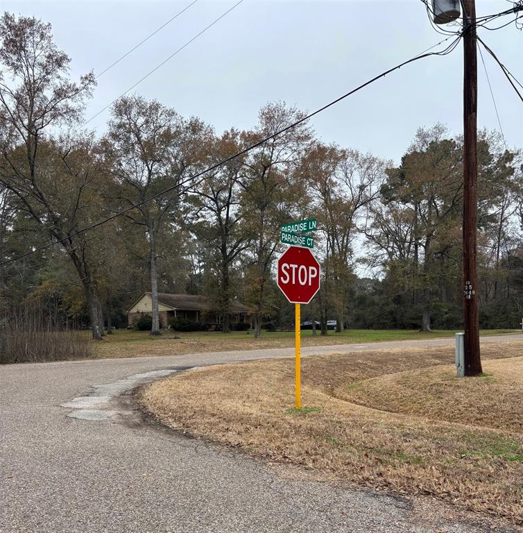 15128 Paradise Court, Willis, Texas image 3