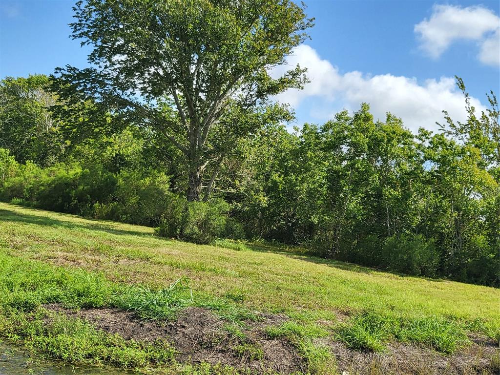 00 Hwy 35, Liverpool, Texas image 1