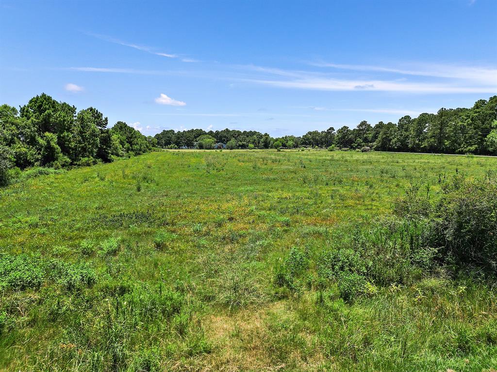 S Main - Lot 3 Street, Anahuac, Texas image 15