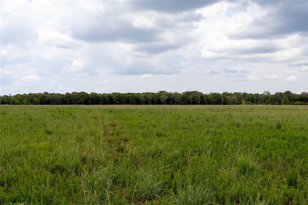 Fm 834, Hardin, Texas image 10