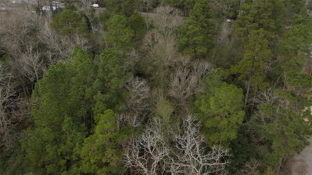 Knotty Pine Lane, Huntsville, Texas image 5