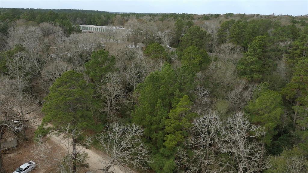 Knotty Pine Lane, Huntsville, Texas image 1