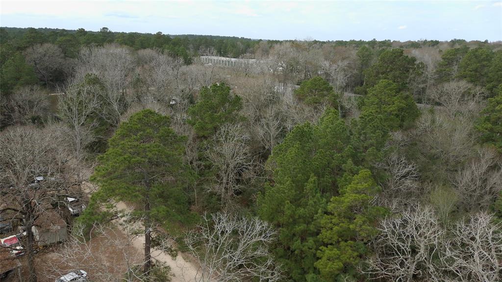 Knotty Pine Lane, Huntsville, Texas image 3