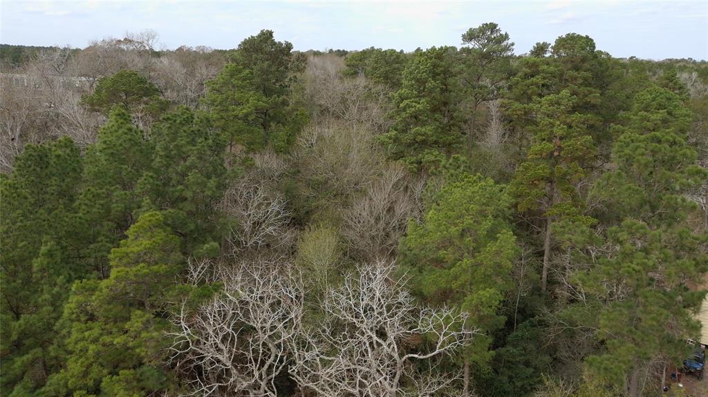 Knotty Pine Lane, Huntsville, Texas image 6