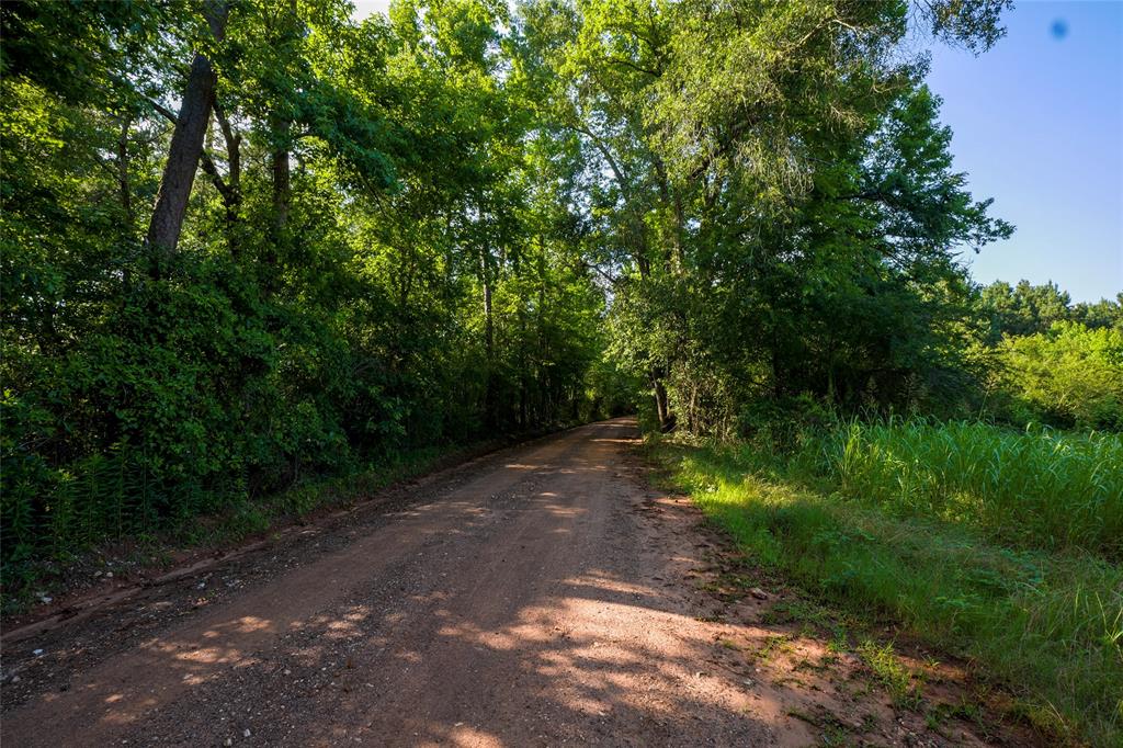 1982 County Road 836, Nacogdoches, Texas image 18