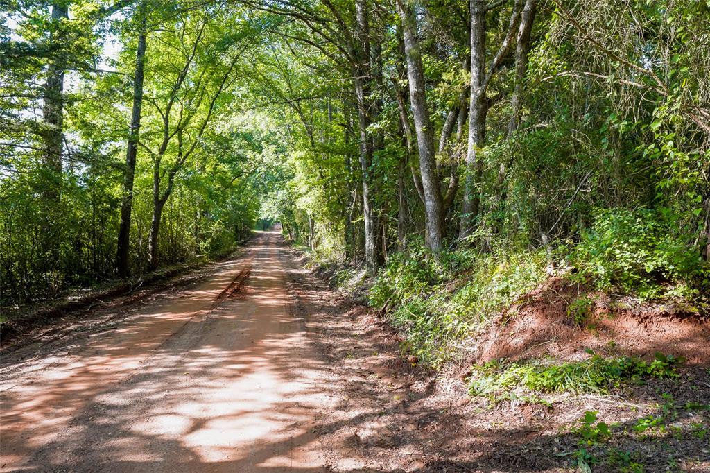 1982 County Road 836, Nacogdoches, Texas image 4