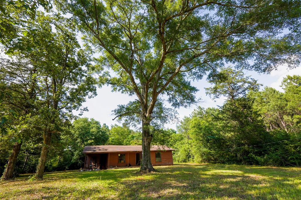 1982 County Road 836, Nacogdoches, Texas image 2