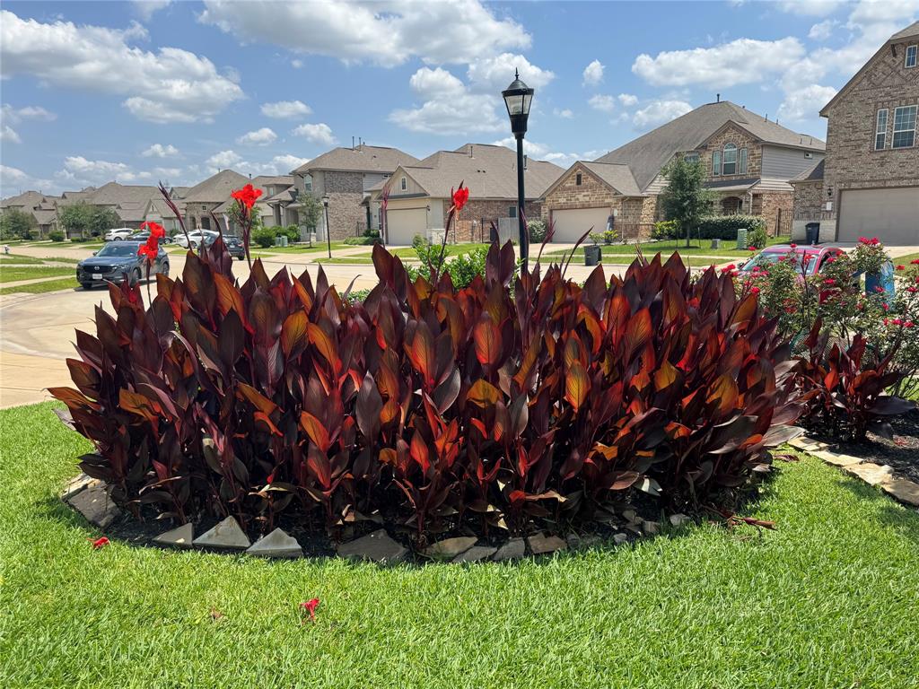 24130 Cannon Anello Court, Katy, Texas image 43