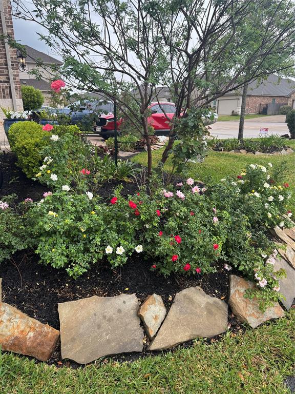 24130 Cannon Anello Court, Katy, Texas image 15