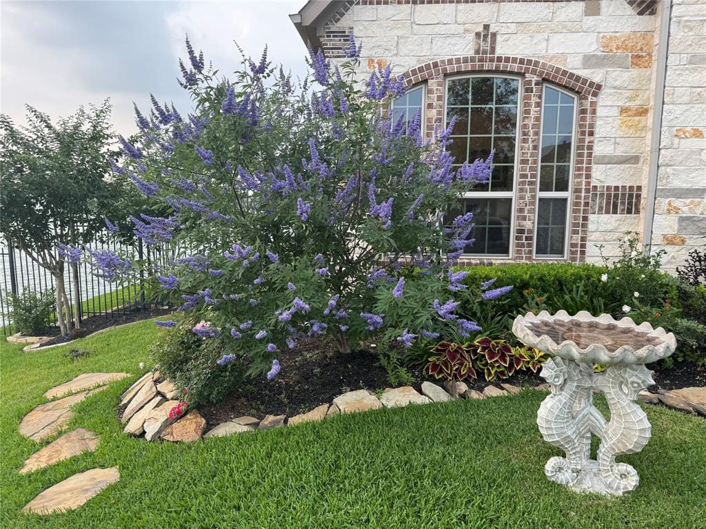 24130 Cannon Anello Court, Katy, Texas image 20