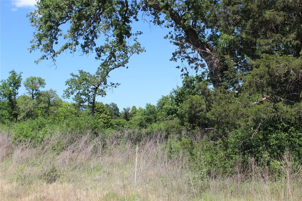 TR 53 Pr 1315 Road, Centerville, Texas image 5