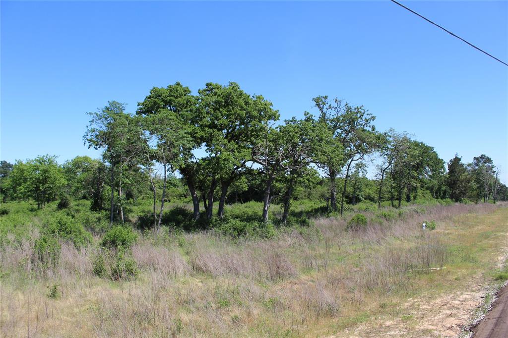 TR 53 Pr 1315 Road, Centerville, Texas image 12
