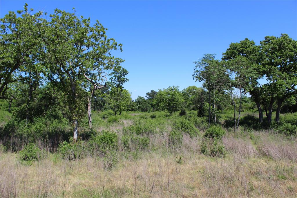 TR 53 Pr 1315 Road, Centerville, Texas image 11