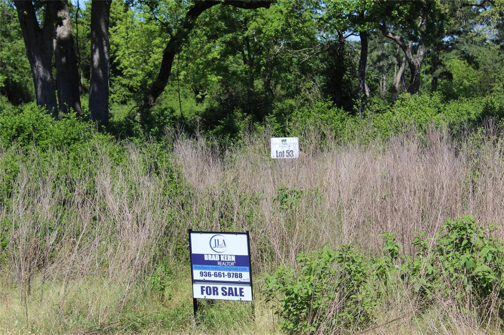 TR 53 Pr 1315 Road, Centerville, Texas image 7