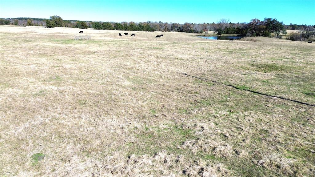 TBD State Highway 19 South / Cr 4035, Crockett, Texas image 8