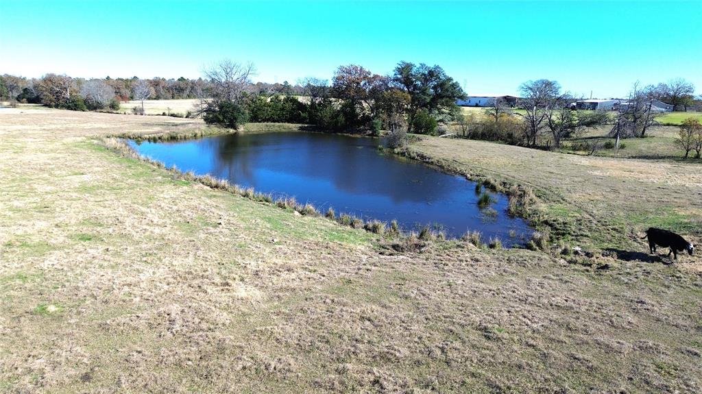 TBD State Highway 19 South / Cr 4035, Crockett, Texas image 2