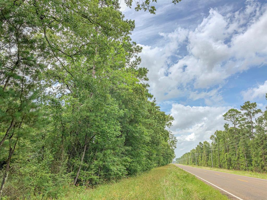 Fm 356, Trinity, Texas image 1