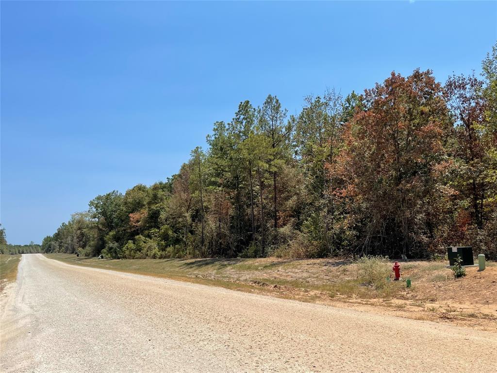 11652 Grand North Road, Willis, Texas image 9