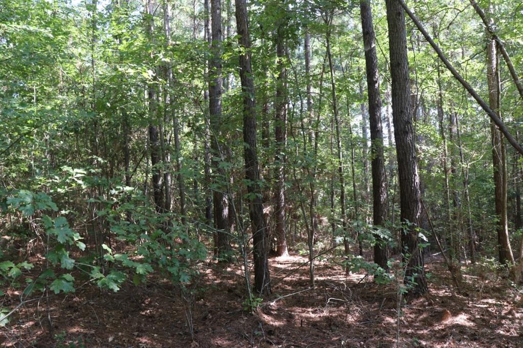 TBD County Road 3198, Mount Enterprise, Texas image 9