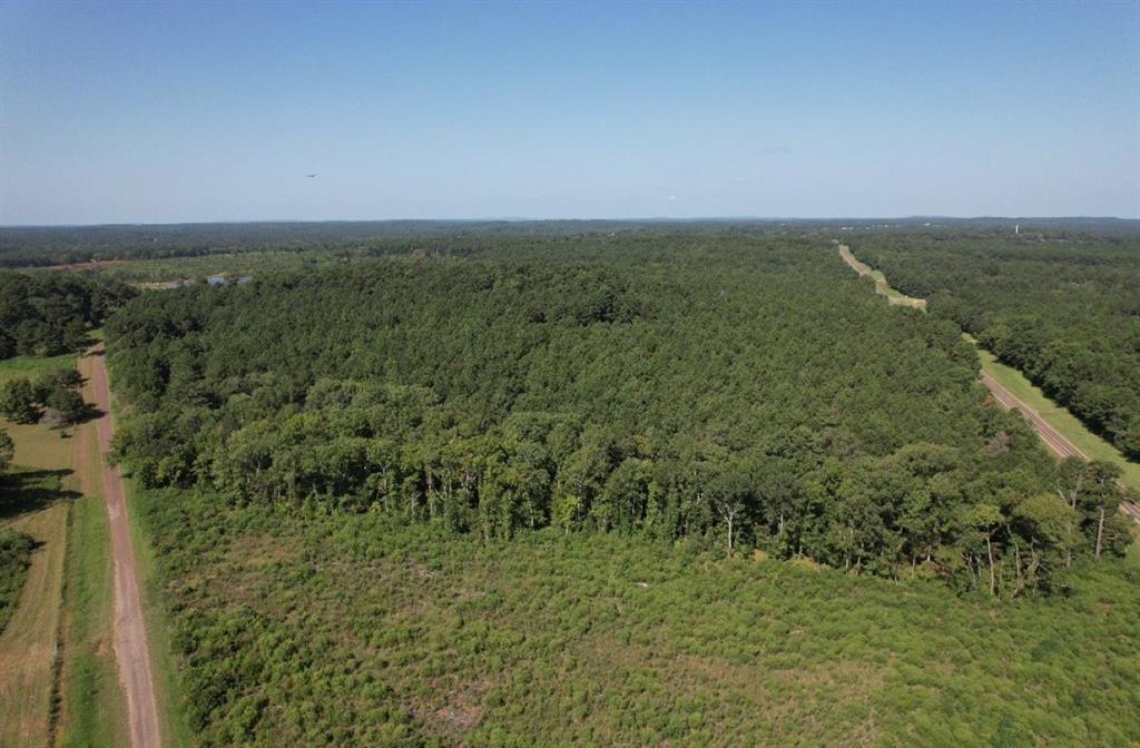 TBD County Road 3198, Mount Enterprise, Texas image 5