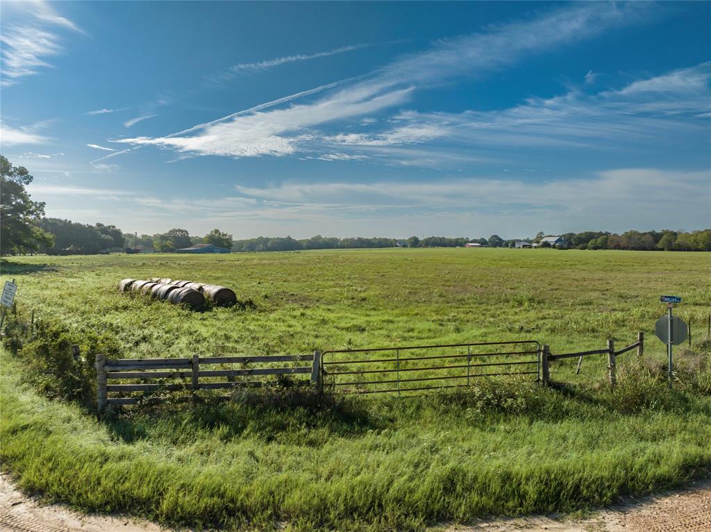 TBD 1 Nelius Road, Bellville, Texas image 9