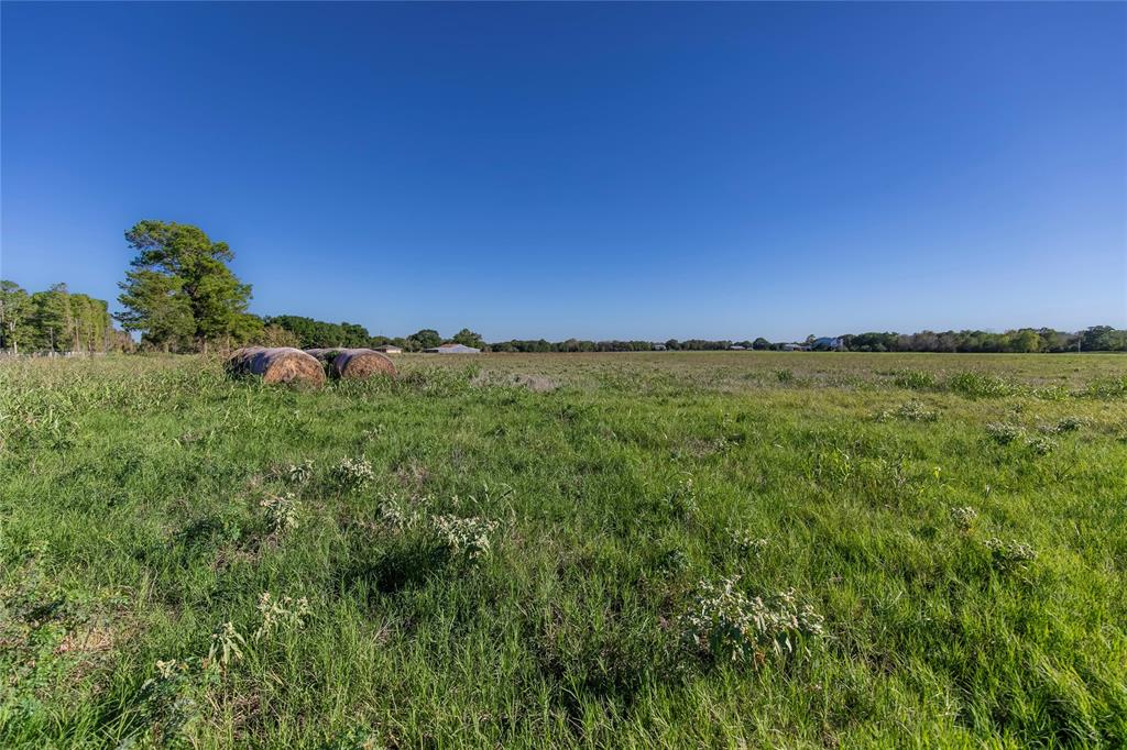 TBD 1 Nelius Road, Bellville, Texas image 8