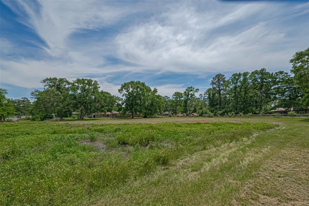 TBD Kerr Drive, Tomball, Texas image 28