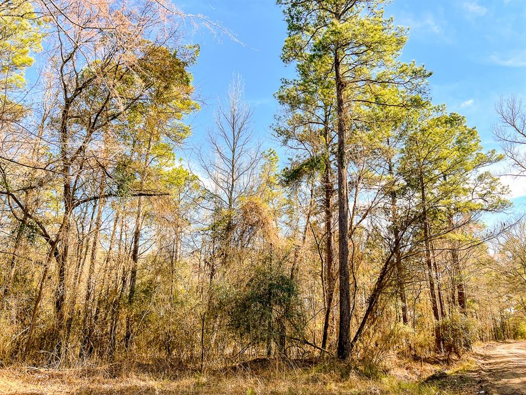 000 Union Springs Rd, Corrigan, Texas image 13