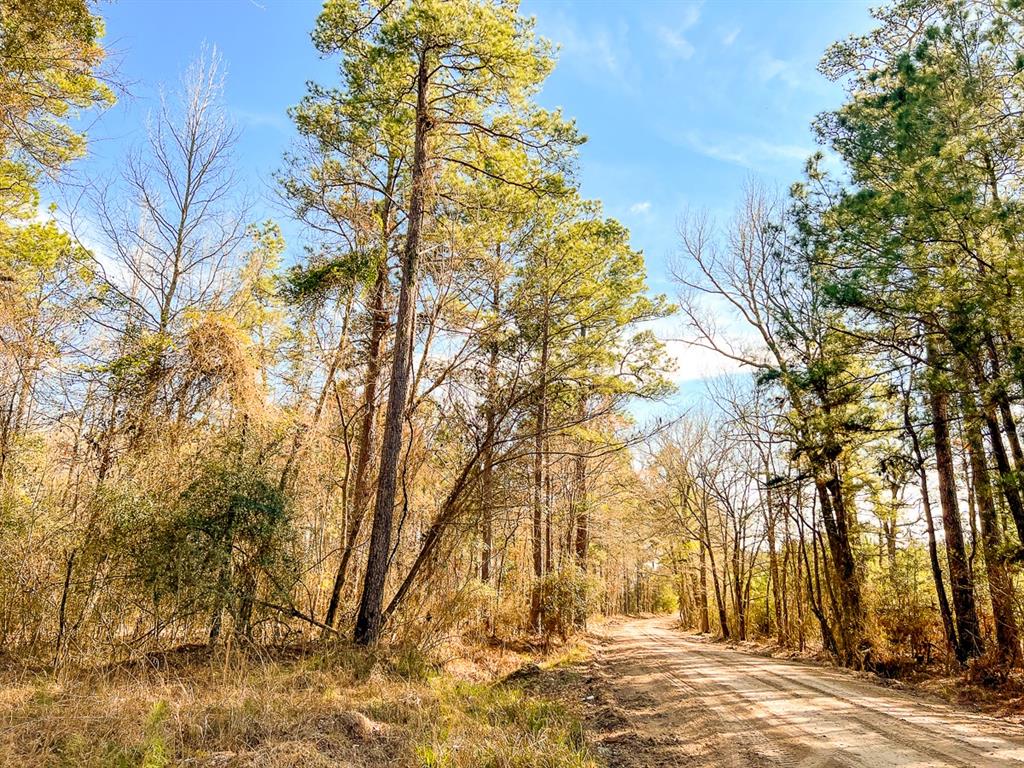 000 Union Springs Rd, Corrigan, Texas image 12