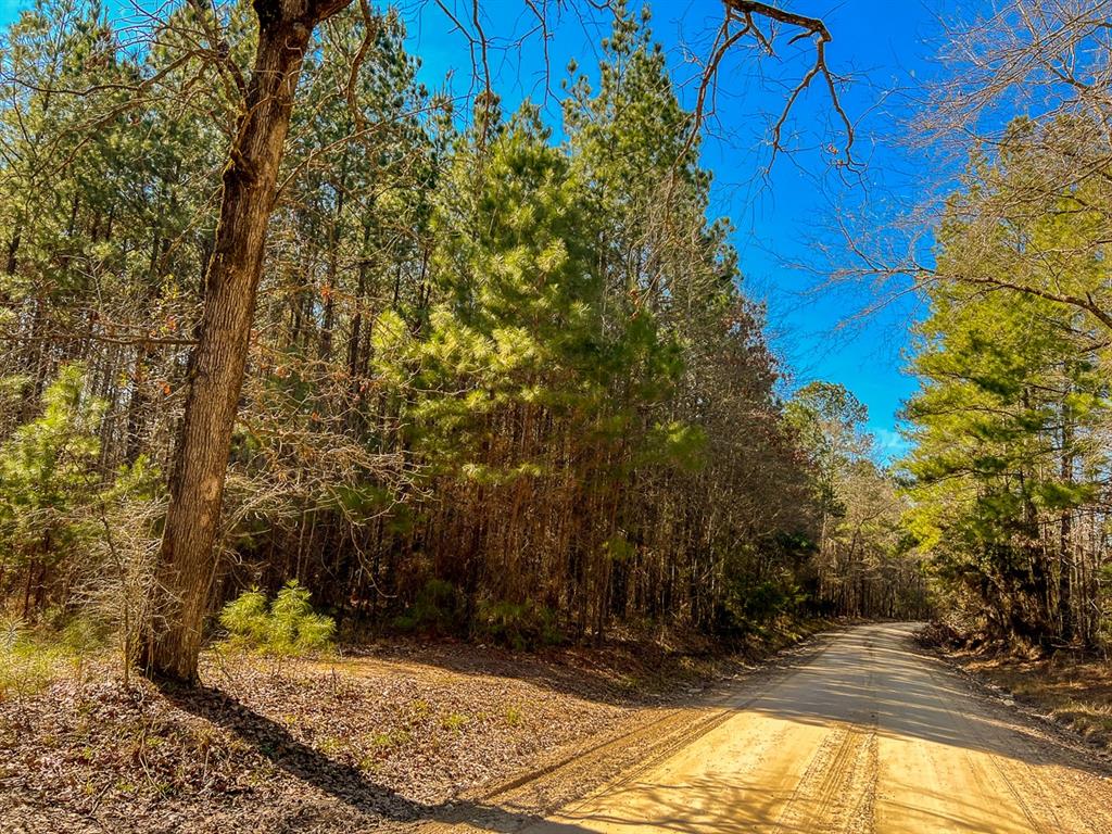 000 Union Springs Rd, Corrigan, Texas image 1