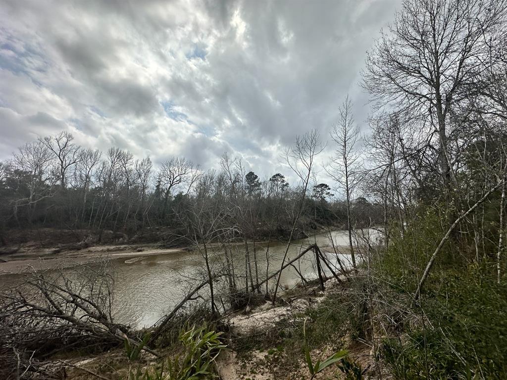 Redbud Drive, Conroe, Texas image 9