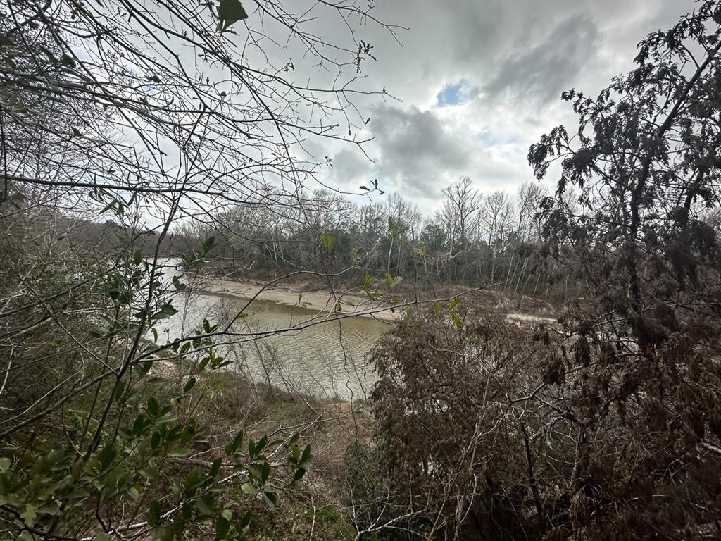 Redbud Drive, Conroe, Texas image 5