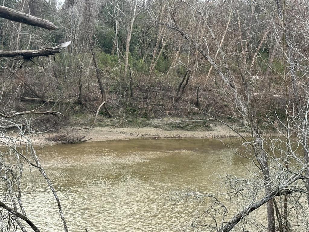 Redbud Drive, Conroe, Texas image 6