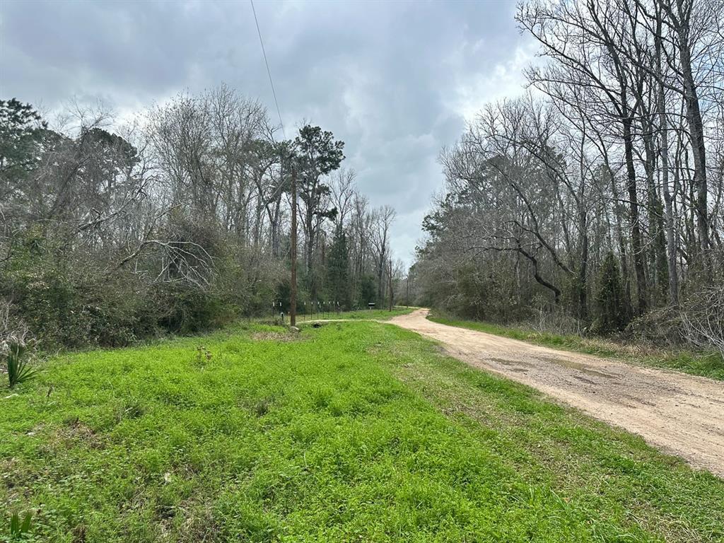 Redbud Drive, Conroe, Texas image 1