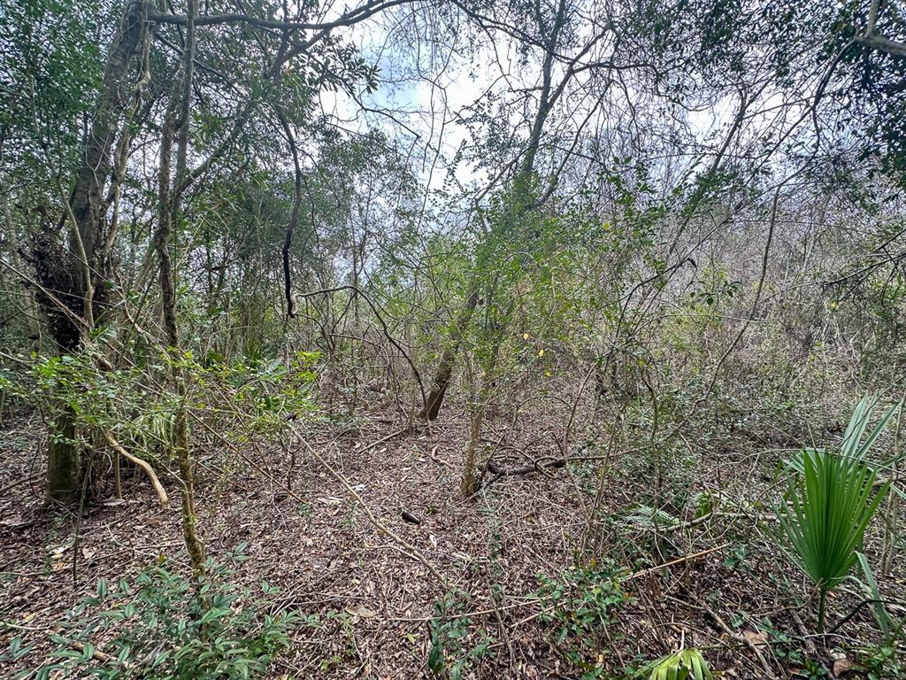Redbud Drive, Conroe, Texas image 11
