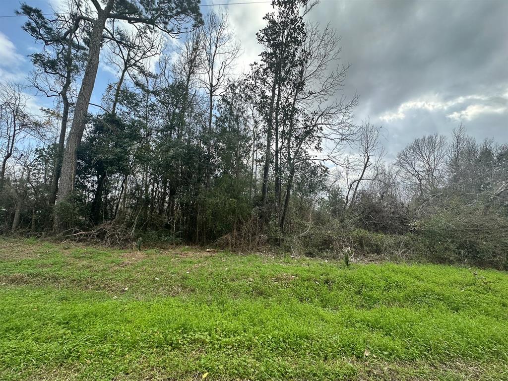 Redbud Drive, Conroe, Texas image 2