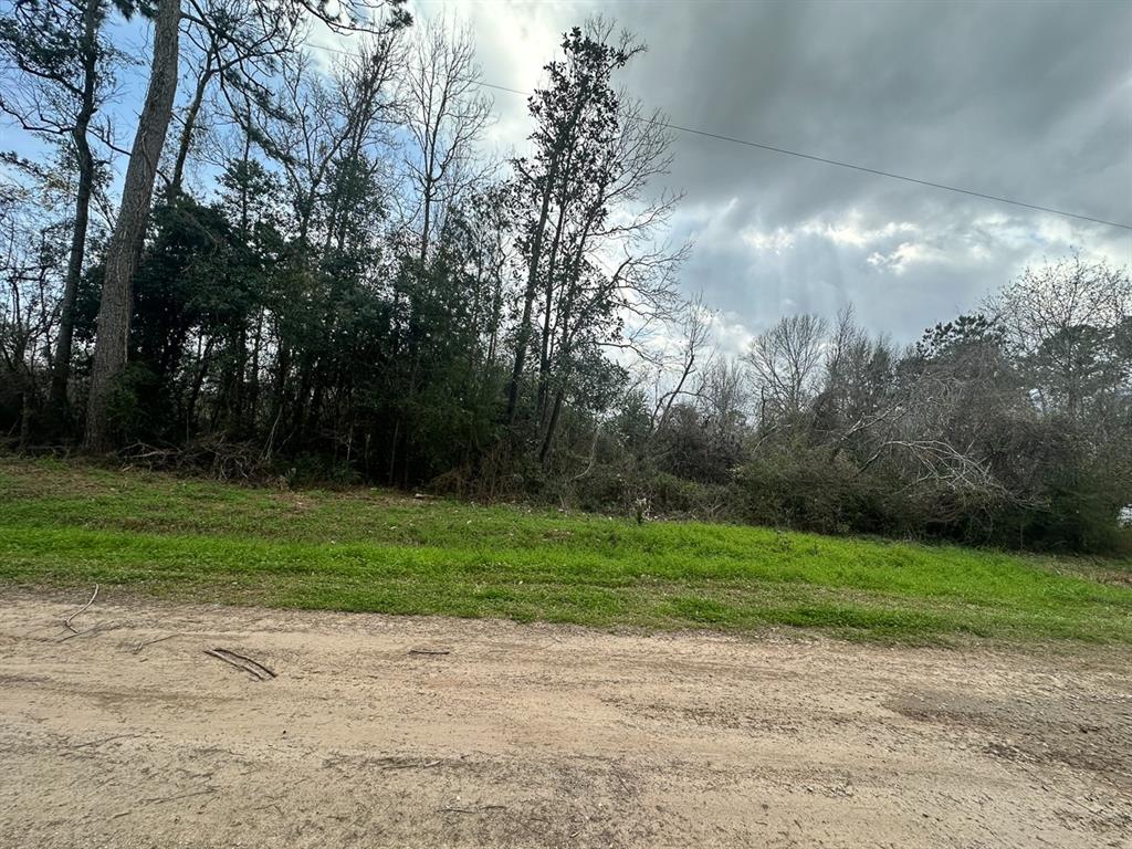 Redbud Drive, Conroe, Texas image 14