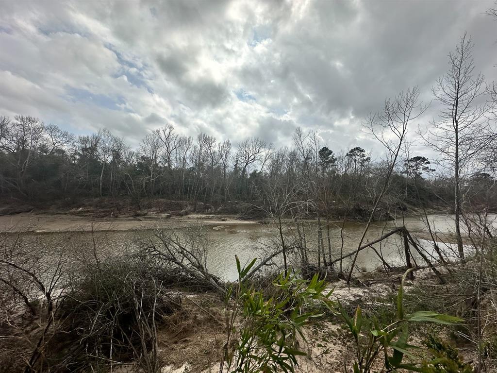 Redbud Drive, Conroe, Texas image 10