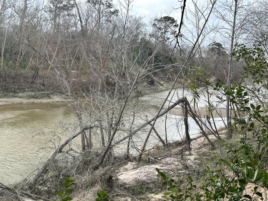 Redbud Drive, Conroe, Texas image 7