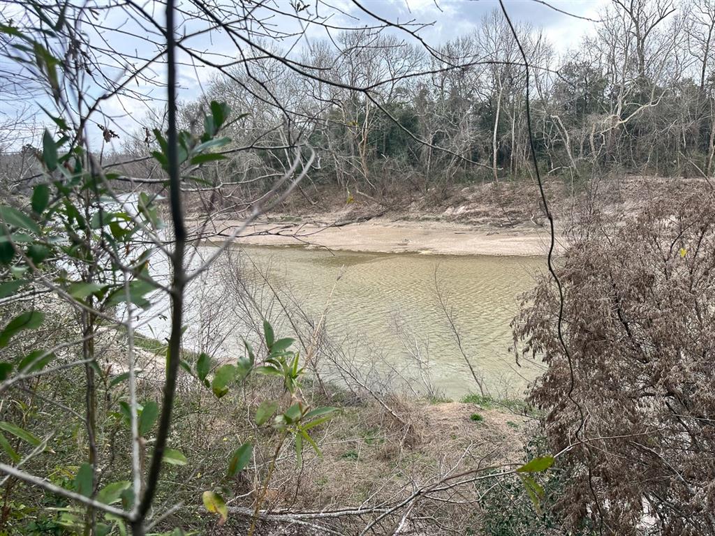 Redbud Drive, Conroe, Texas image 4