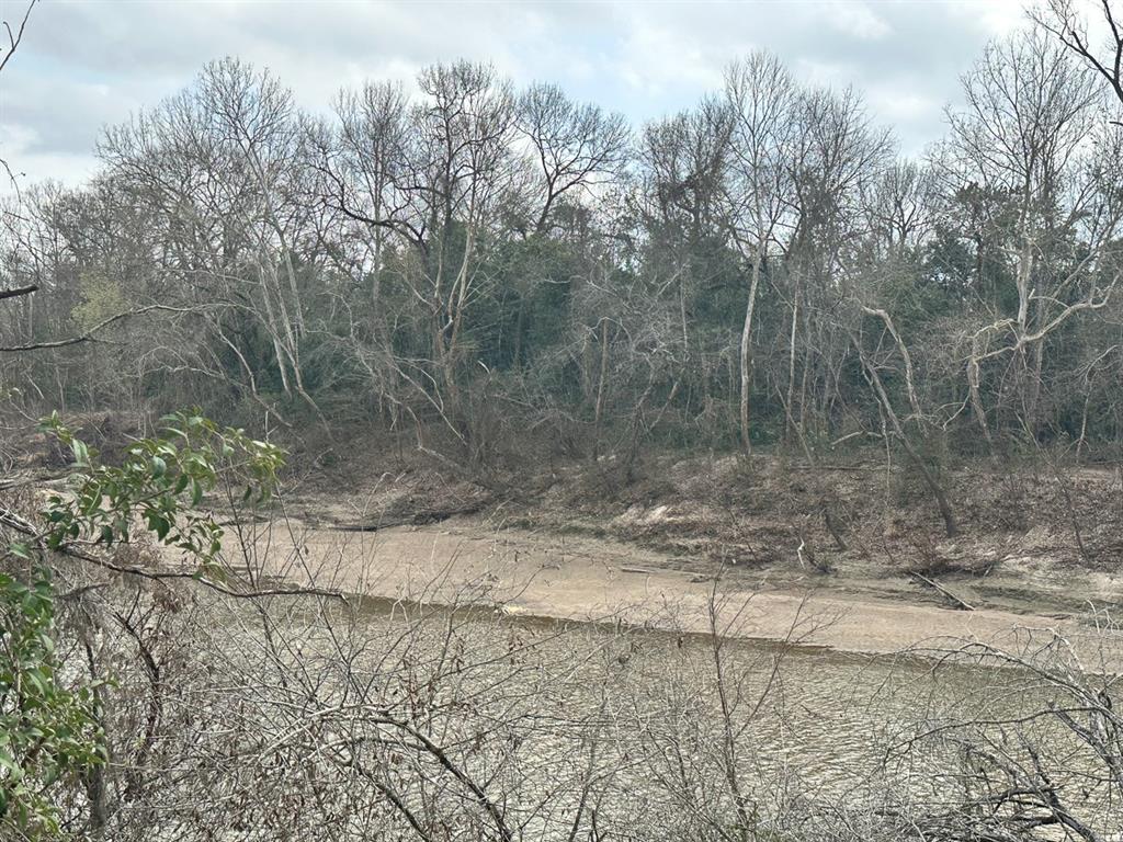 Redbud Drive, Conroe, Texas image 8
