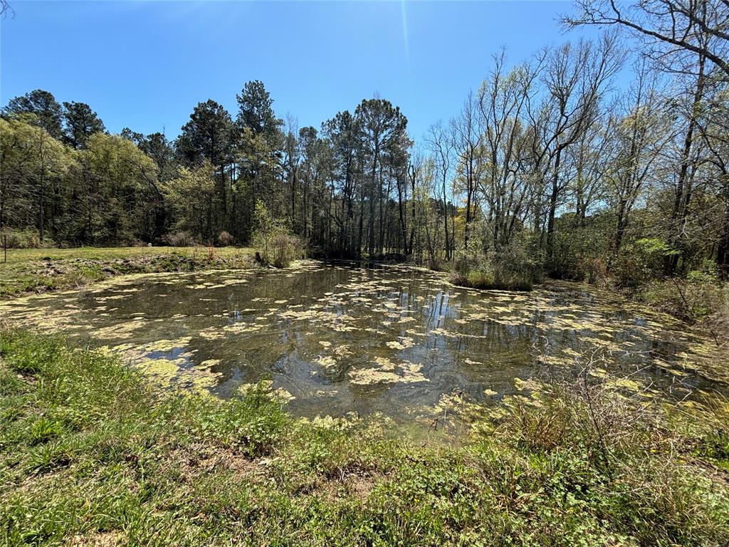 1406 County Road 3141, Cleveland, Texas image 8